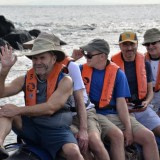 Coming Ashore