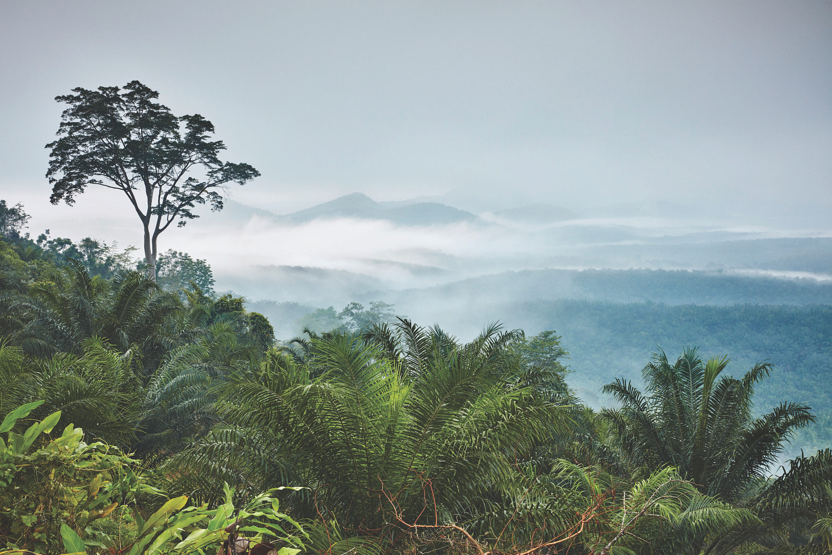 Malaysia Kuala Kangsar