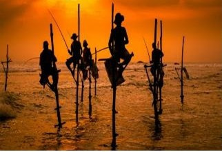 Sri-Lanka-stilt fishermen