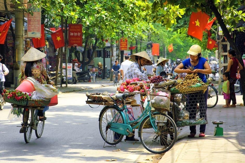 Bot Verification  Vietnam travel, Long dong, Travel